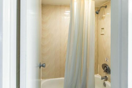 a bathroom with a shower with a shower curtain at Econo Lodge in Zanesville