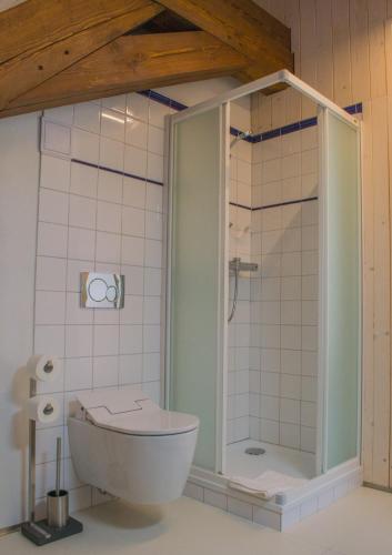 a bathroom with a shower with a toilet and a sink at Apartmány Šupina in Třeboň