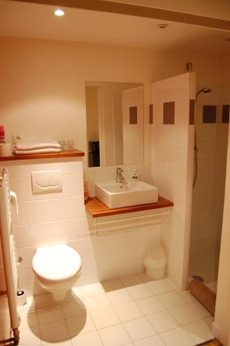 uma casa de banho com um WC e um lavatório em Gîte dans un Domaine Historique em Chevreuse