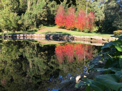 a reflection of trees in the water with a stone bridge at The Drawing Rooms of Berry in Berry