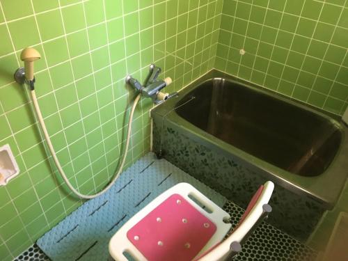 a green tiled bathroom with a sink and a toilet at Guest House Ilonggo in Tsu