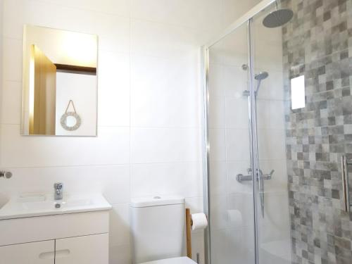 a bathroom with a shower and a toilet and a sink at Casa dos Pinheiros in Praia da Arrifana