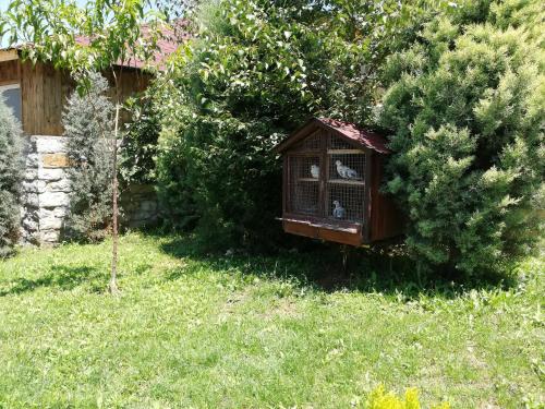 a bird house in a yard next to a bush at Hotel My House in Kŭrdzhali