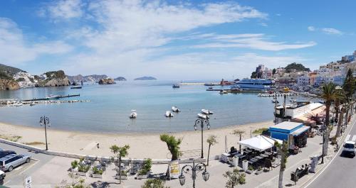 einen Strand mit Schwänen im Wasser in einer Stadt in der Unterkunft Maridea - Appartamenti Via Dante in Ponza