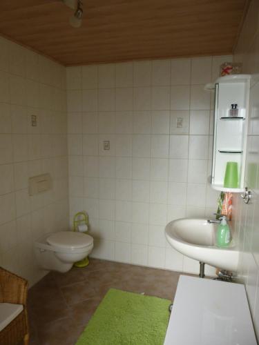 a bathroom with a white toilet and a sink at Jürgen+Carmen Essbüchl in Rodewisch