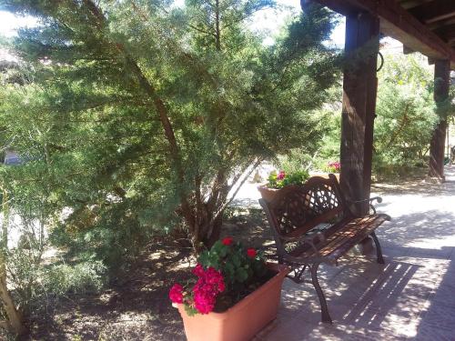 Zahrada ubytování Agriturismo Pedru Caddu