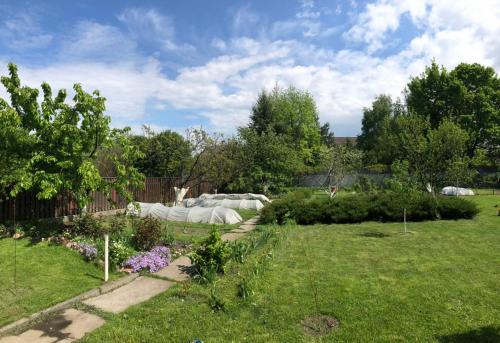 un jardín con muchas plantas en un patio en Guest house on Ivana Franka en Novyye Petrovtsy