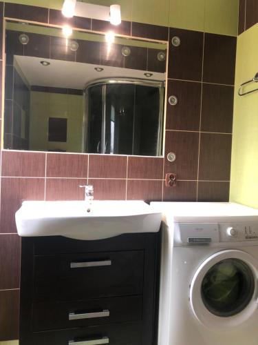 ein Badezimmer mit einer Waschmaschine und einem Waschbecken in der Unterkunft Apartamenty Zdrojowe in Krasnobród