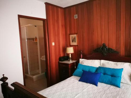 a bedroom with a bed with blue pillows on it at A Casa da Fonte in Alviobeira