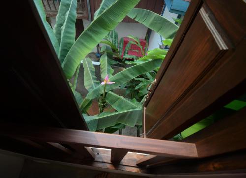 an overhead view of a room with green plants at Moonlight Champa Riverview in Luang Prabang