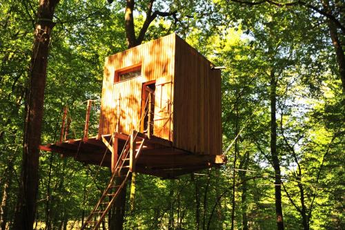 une cabane dans les arbres au milieu de la forêt dans l'établissement Cabanes Espace Fouletot, à Mont-sous-Vaudrey