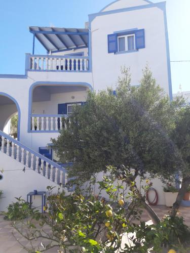 a white building with a tree in front of it at Katerina Kafieri Apartments in Firostefani