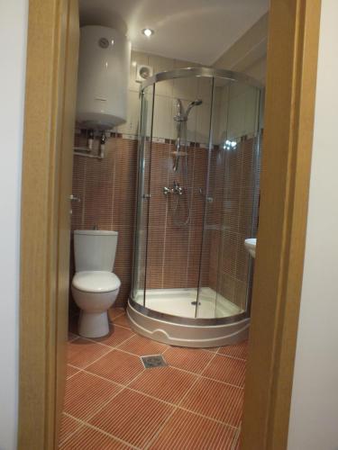 a bathroom with a toilet and a glass shower at SeaSide Piano Bar Apartament in Mamaia