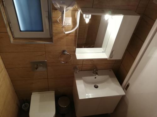 a bathroom with a sink and a toilet and a mirror at Spiros Rooms in Kastrosikia
