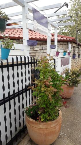 B&B LAVANDA , Finida-Umag