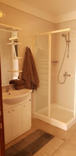 a bathroom with a shower and a sink at Villa Jade Apartments FRONT ROW SEA VIEW - WALK TO KORCULA OLD TOWN in Korčula
