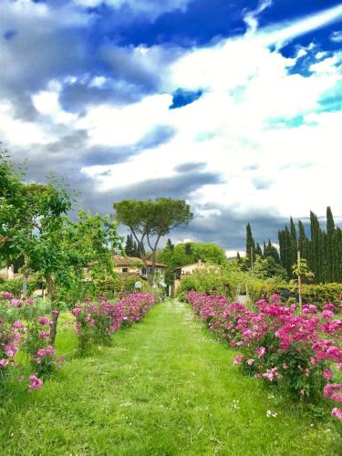 a garden with pink flowers on a green field at La Fattoressa in Florence