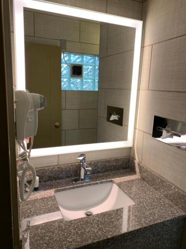 a bathroom with a sink and a mirror at University Manor Inn in Buffalo