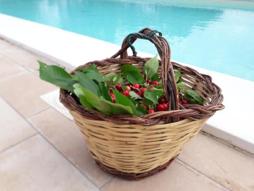 a basket of vegetables sitting next to a pool at Relais Villa Sofia in Calcinelli