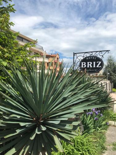 Zahrada ubytování Hotel Briz