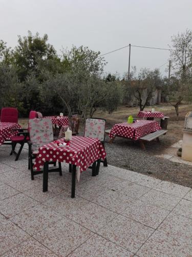 Κήπος έξω από το Fattoria San Vincenzo