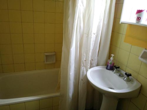 un bagno con un lavandino e una tenda da doccia di Monoambiente centro a Buenos Aires