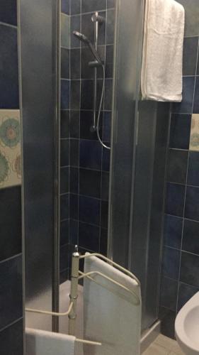 a bathroom with a shower with a toilet and a sink at villa francesca in Capua