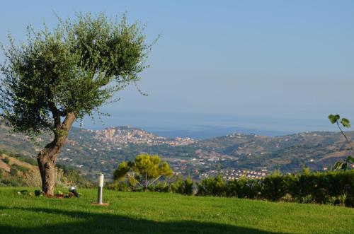 a tree sitting on top of a grassy hill at Casa Vacanza Villa Aurora in Laureana Cilento