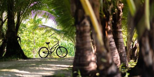 a bike parked on a path between palm trees at Ratua Private Island Resort in Aimbuei Bay