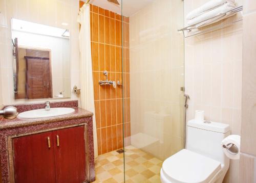 博卡拉的住宿－冰島酒店，浴室配有卫生间、盥洗盆和淋浴。