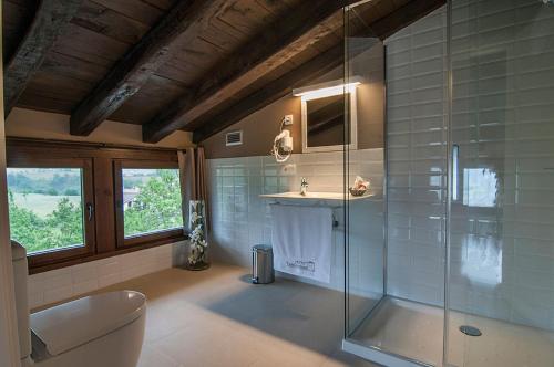 a bathroom with a shower and a toilet and a sink at Hotel Torre Zumeltzegi in Oñati