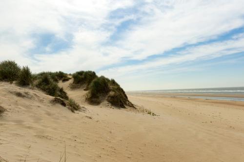 a beach with sand dunes and the ocean at Country House Duinhof in De Haan