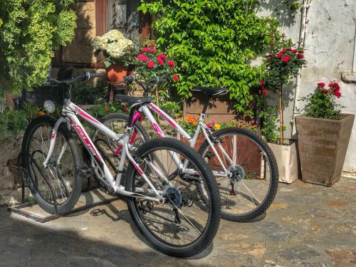 two bikes parked next to each other in front of flowers at Varosi Guesthouse in Edessa