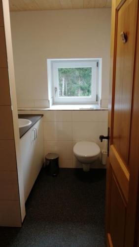a bathroom with a toilet and a sink and a window at Ferienhaus am Waldrand von Egg Bregenzer Wald in Egg