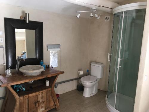 een badkamer met een wastafel, een toilet en een spiegel bij Mas à Cheval-Blanc en Provence in Cheval-Blanc