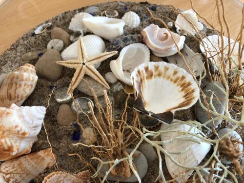 Galeriebild der Unterkunft Amber Loft in Nida