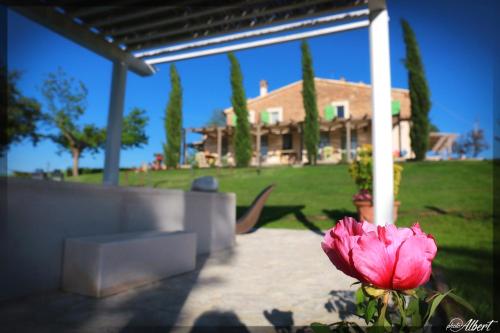 a pink flower in front of a house at Le Maraclà Country House in Iesi