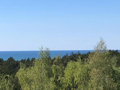 Galeriebild der Unterkunft Amber Loft in Nida