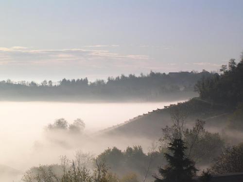 a misty view of a river with trees in the background at La Locanda del Melograno in Moncalvo