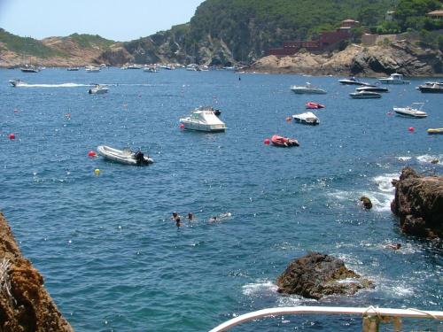 a group of people swimming in a body of water at Cap Sa Sal Navy, Begur, Girona in Begur
