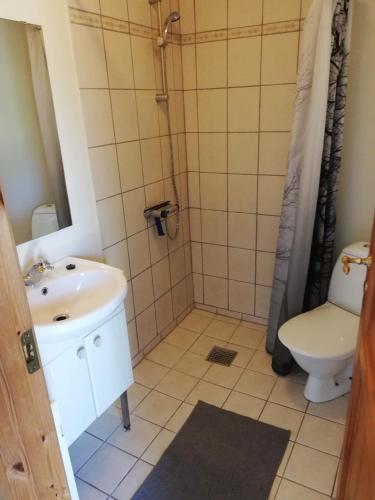 a bathroom with a sink and a toilet at Bindesbølgård Farm Holiday in Give