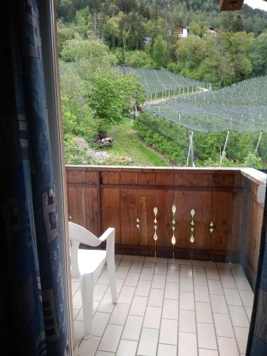 a window with a chair and a view of a vineyard at Mühlhaus in Schenna