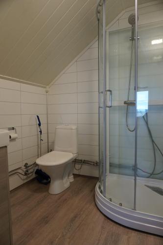 a bathroom with a toilet and a shower at Varanger Fisherman's Shed in Varangerbotn