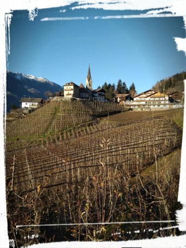 a vineyard on a hill with a church in the background at Mühlhaus in Schenna