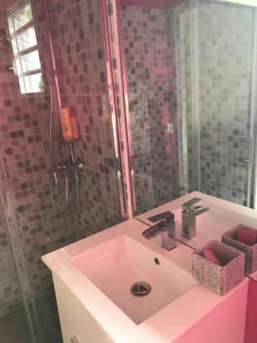 ein Bad mit einem Waschbecken und einer Dusche mit einem Spiegel in der Unterkunft BUNGALOW LOLOTTE ET DOM in Sainte-Anne