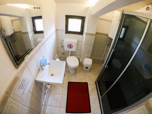 a bathroom with a toilet and a sink and a shower at Sarac Hostel in Peje