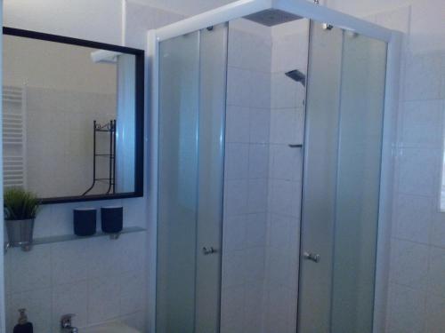 y baño con ducha y puerta de cristal. en No. 42, en Rožmberk nad Vltavou