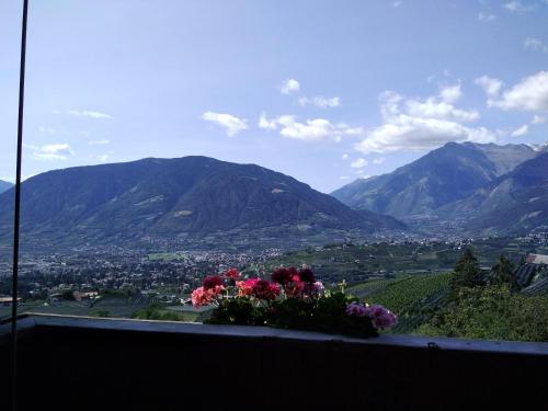 a bouquet of flowers sitting on a ledge with mountains at Mühlhaus in Schenna