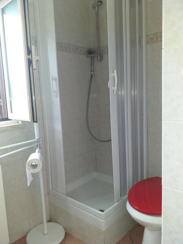 a bathroom with a shower with a toilet and a sink at Mirella's House ViaVerona in Ardea