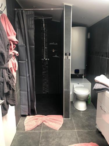 a bathroom with a shower and a toilet at Echappée Belle in Jalhay